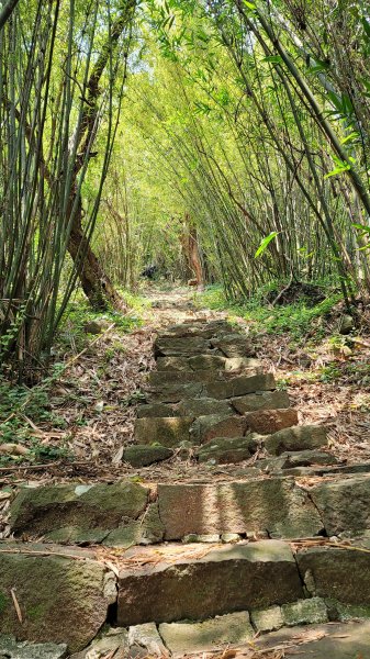 中正山環型步道2109289