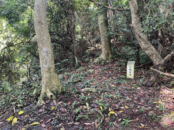 [皮皮獅探險隊-01/10] 2025_0706 六寮古道2830735