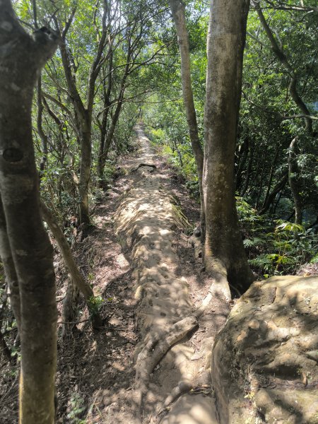 20251018微笑山線：【二格山系】皇帝殿稜線段2918652