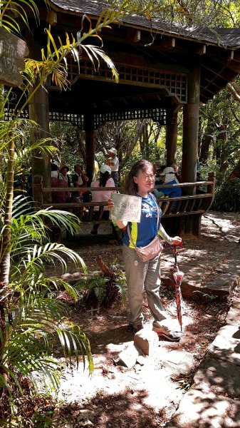 翠山步道、大崙頭尾山親山步道【臺北健走趣】2874291