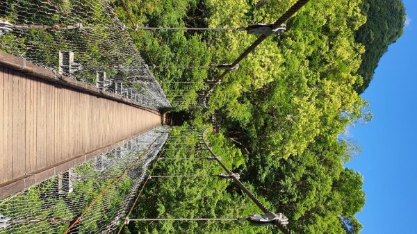 藍天白雲的錐麓古道真是美極了1016083