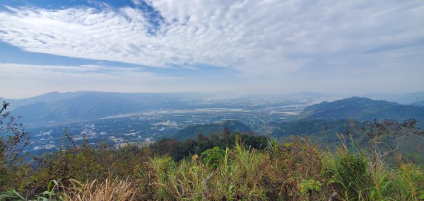 2024-01-28九九峰森林步道2412626