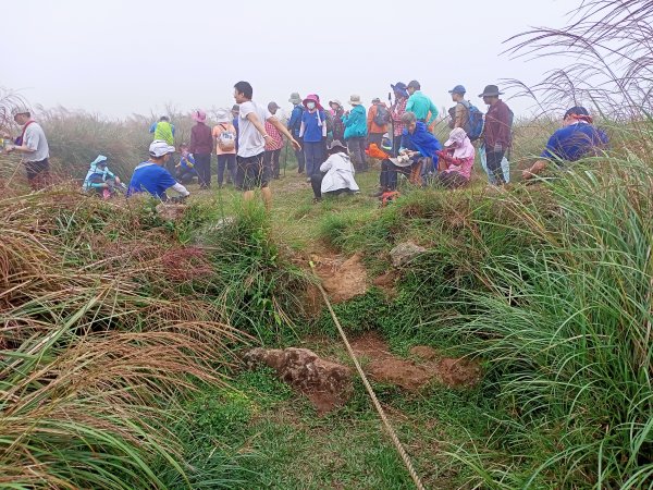 擎天崗→磺嘴山生態保護區→磺嘴山 H912m→翠翠谷→榮潤古道→內雙溪古道→冷擎步道→冷水坑1487598