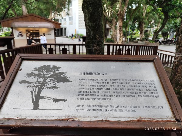 臺大舟山路、大港墘公園、成功高中【臺北健走趣】2848142