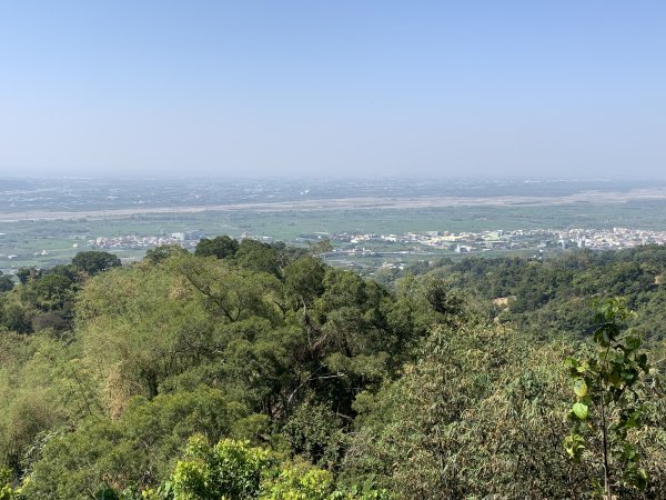 20250322南投松柏坑山-大棚山2745863