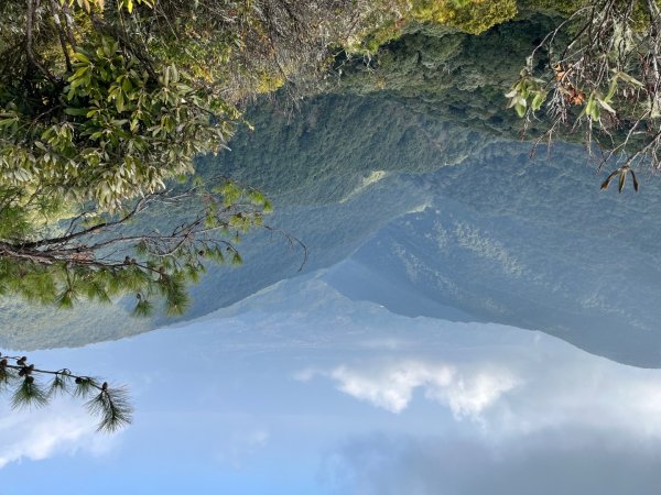20260124_鳶嘴山（台中小百岳）3102236