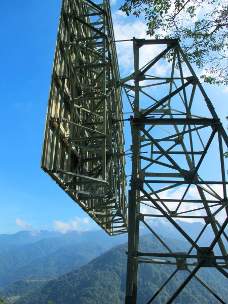 四壯士神木步道x阿冷山(北北峰)787466