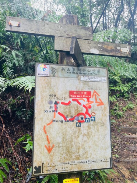 1131225新山夢湖2676512