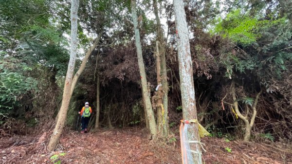 過坑山快閃2685075