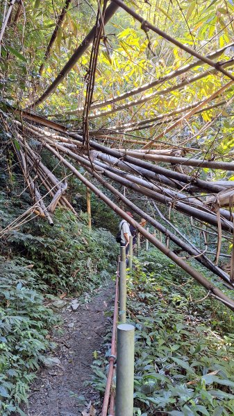 20251116 武界壩－摩摩納爾瀑布2937964