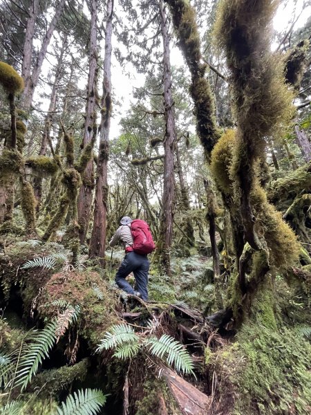 魔幻森林三星山與三星池1658311