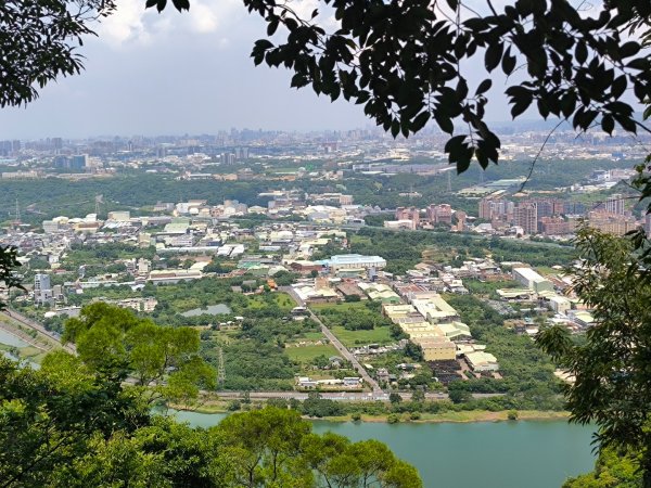 20250824鳶山彩壁2868537