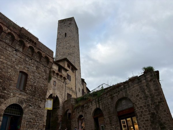 Via Francigena D1: San Gimignano-Colle di Val d’El3072666