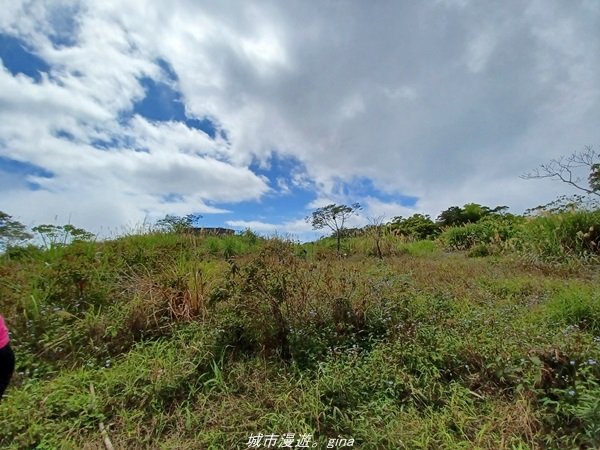 【台東。大武】一路搖晃碰碰車。小百岳集起來。  編號95小百岳-加奈美山步道1640912