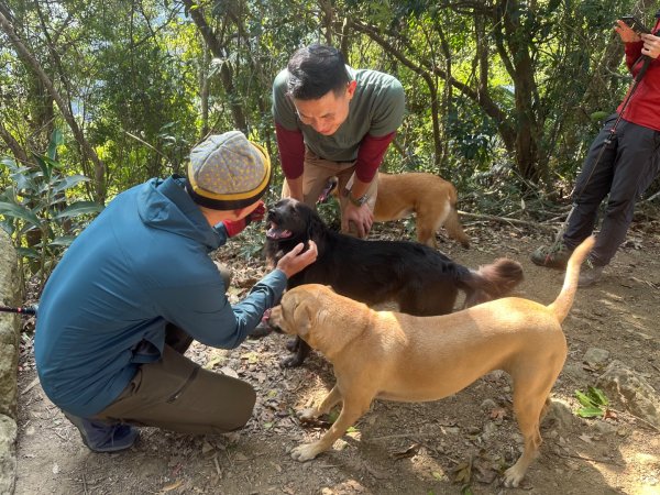 苗栗金童山、玉女山、汶水山2672885