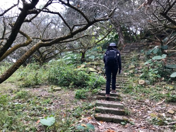 烏山步道走刣牛湖山468599