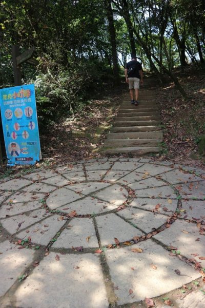 小百岳NO12  汐止大尖山 縱走海拔641公尺 四分子尾山2229064