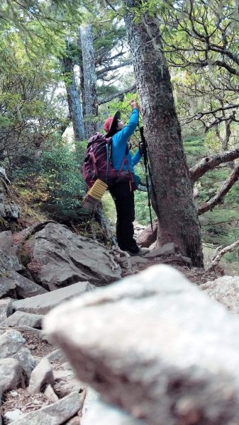 雪山 不下雪533112