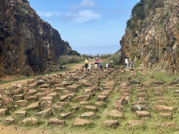 2023/11/23 茶壺山 半平山 燦光寮山 O繞2389185