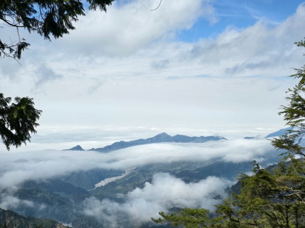 鳶嘴山+稍來神木2709895