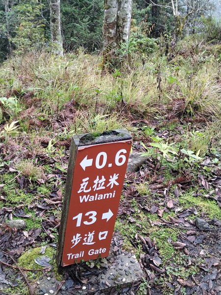 瓦拉米古道-年輕人爬山趣2757962