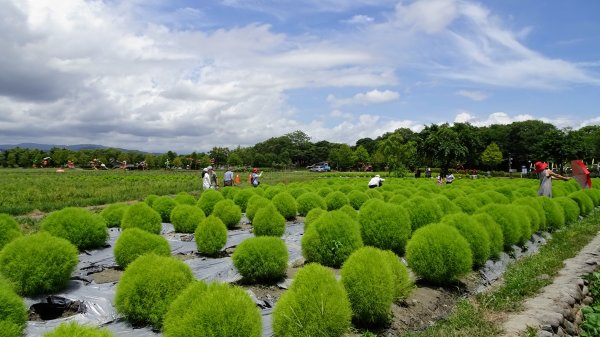 冬山河生態綠舟,羅東林業文化園區2230137