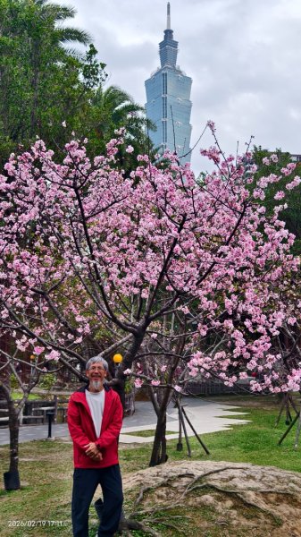 #虎山  #101大樓  #國父紀念館 #河津櫻 #中正紀念堂 2/193002695