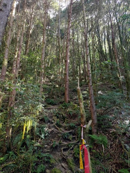 🥵20231107南一段會繞過🤷忘記的溪南山2340108