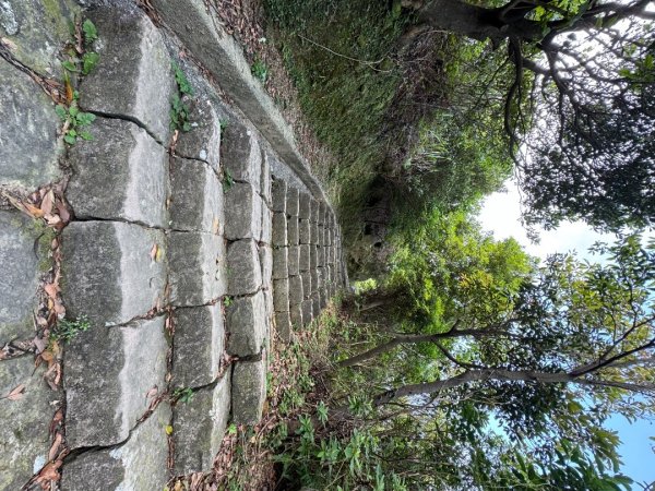 2025/04/19 小百岳第006基隆山2766345