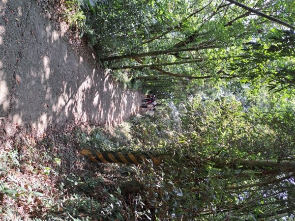 台南關子嶺枕頭山，大凍山，雞籠山步道3123311