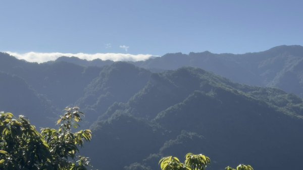 20251116五寮尖2942257