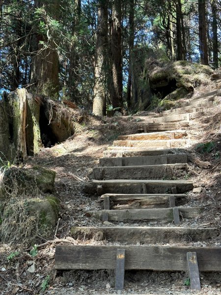 最高的小百岳大塔山2081581