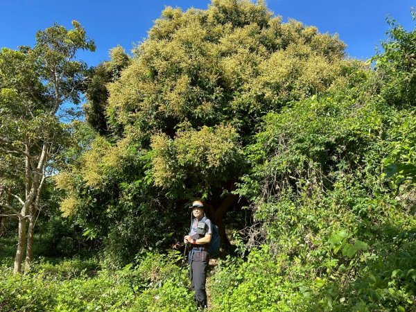 20250417小百岳🤣烏山 刣牛湖山縱走2764709