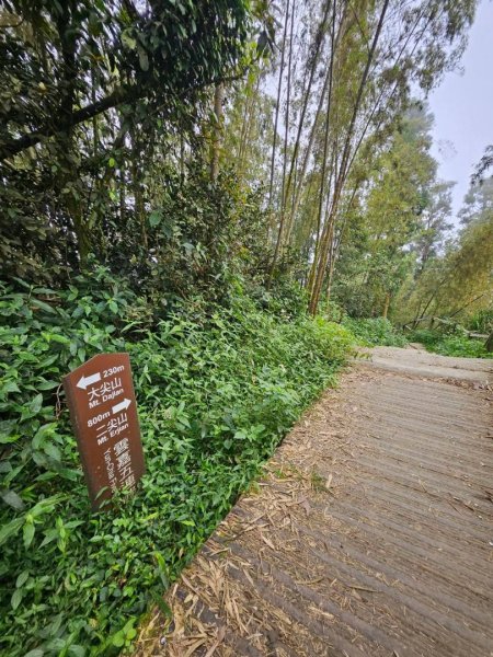 20260921 樟湖生態國小登後棟仔山挑筍古道上大、二尖山3121219