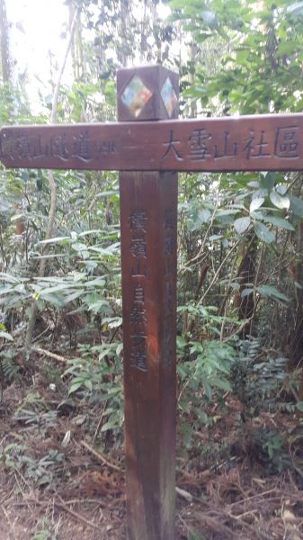 橫嶺山自然步道 2017 08 18156532