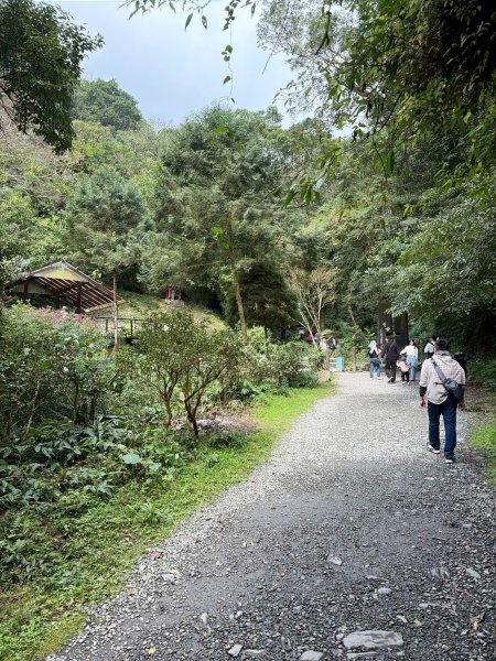 宜蘭 礁溪 櫻聖縱走3004744