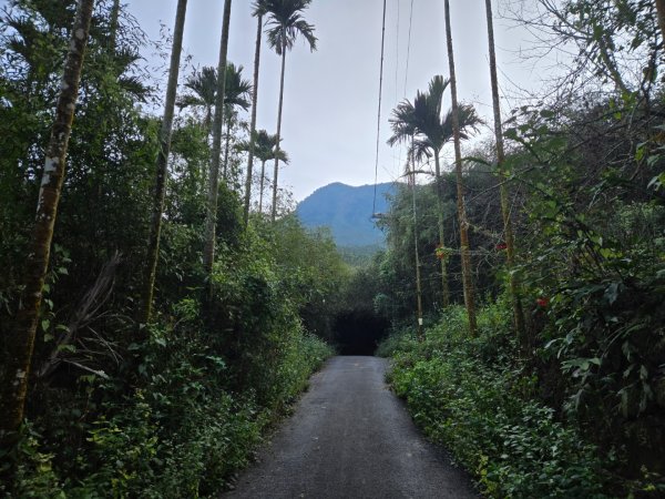 九龍山連走大凍山2955700