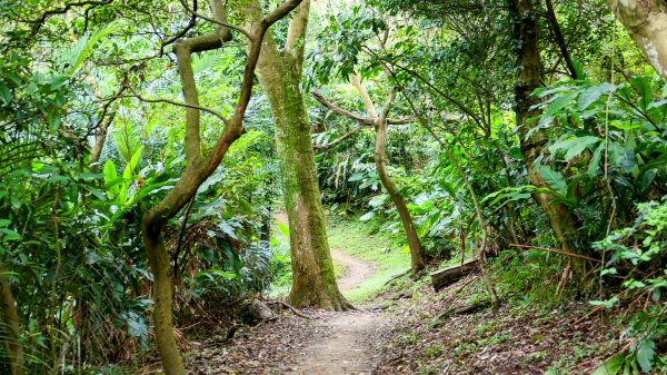 微笑山線405高地段2844164