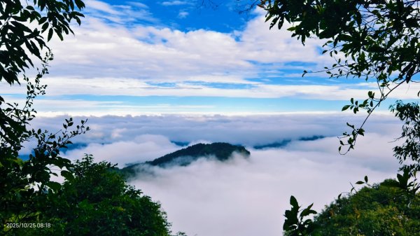 #馬那邦山 #琉璃光 #日出 #雲海 #山羌 #楓葉 10/25 & 11/12924612