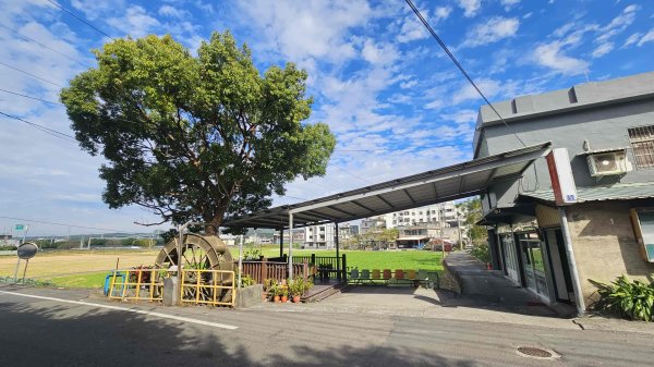 20251218犁頭山-吧哩國山主東峰-石頭坑山西南峰-石頭坑山2967018