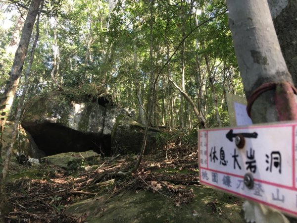 加里山、杜鵑嶺、大坪山、大斜壁2387393