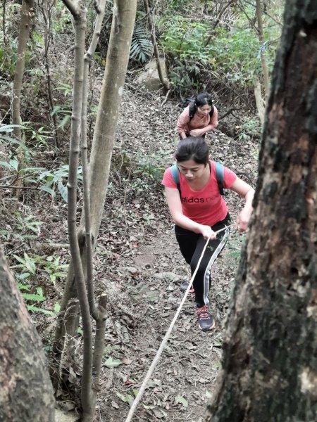 20230408 五指山越野15K賽前探路，隱家拉麵（咖哩），浩客豆花2100981