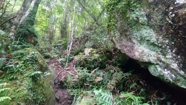 鵝公髻山和東北峰連走1727465