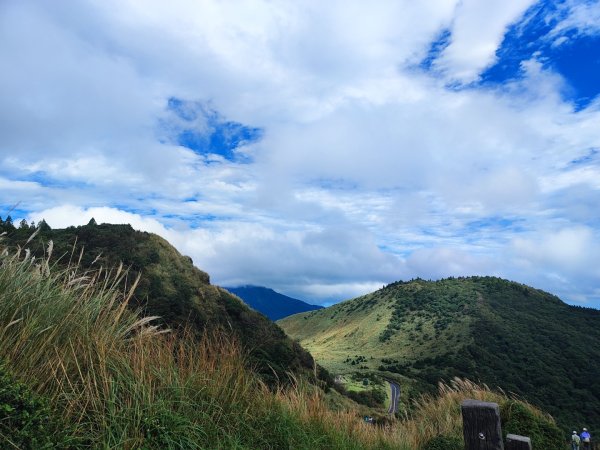 苗圃上七星下冷水坑2647502