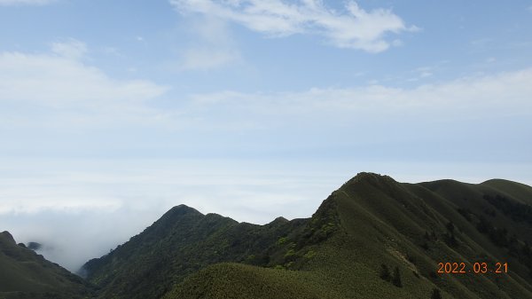 陽明山趴趴走，整天差強人意雲海1650813