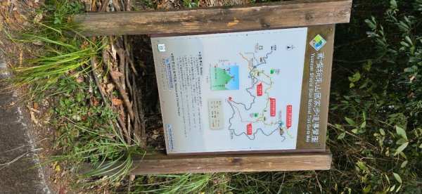 稍來山楓葉2973924