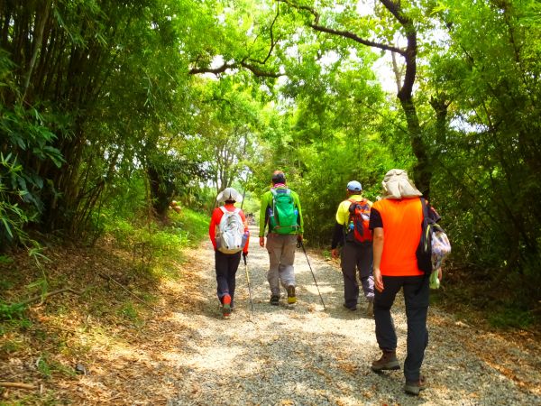 桃園五酒桶山步道389843