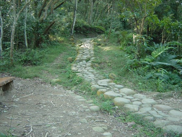 打鐵寮古道&石龜坑山200912021955954