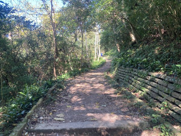 觀音山硬漢嶺登山步道+北橫古道+尖石步道2402142