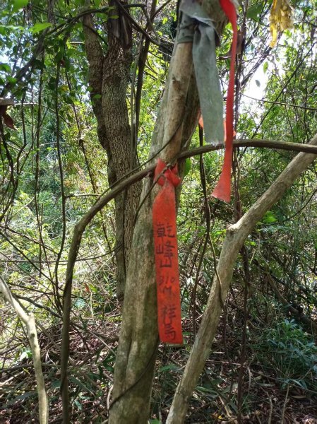 乾峰山字森林三角點3131483